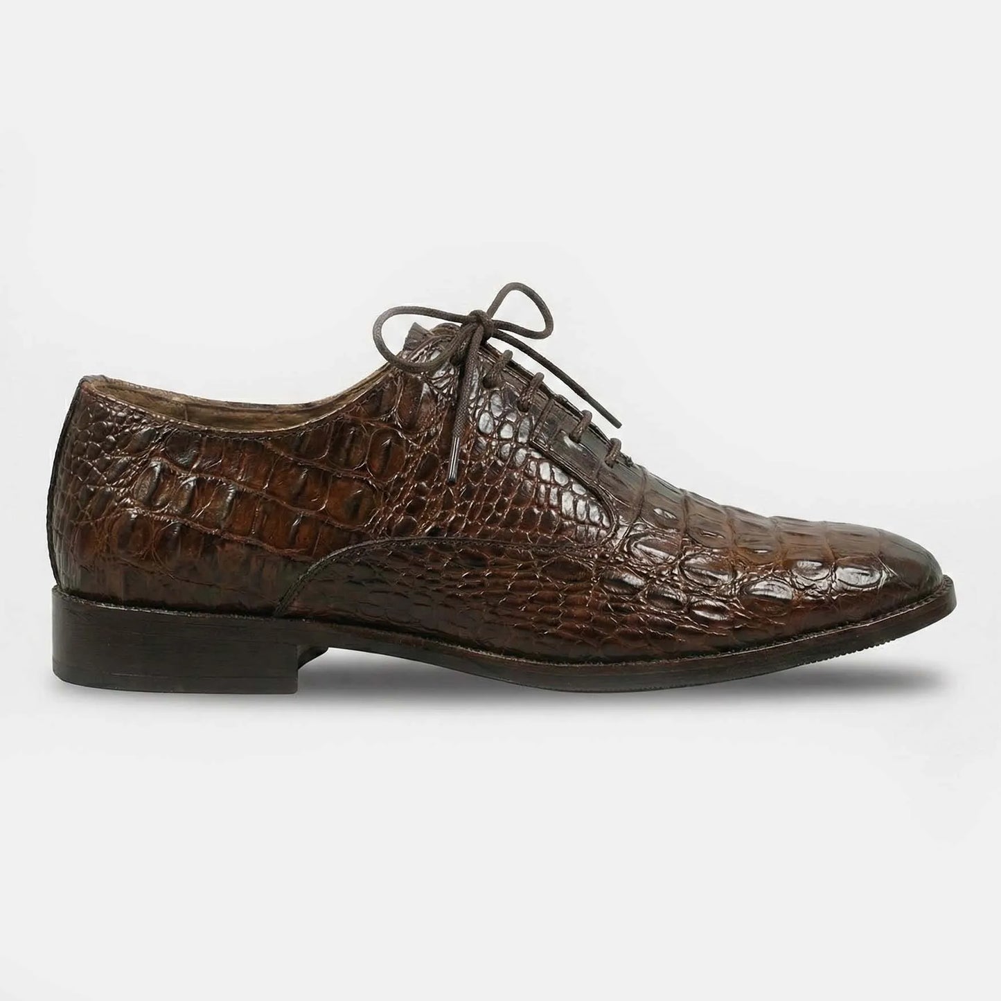 Luxury Croc Formals(B 521)